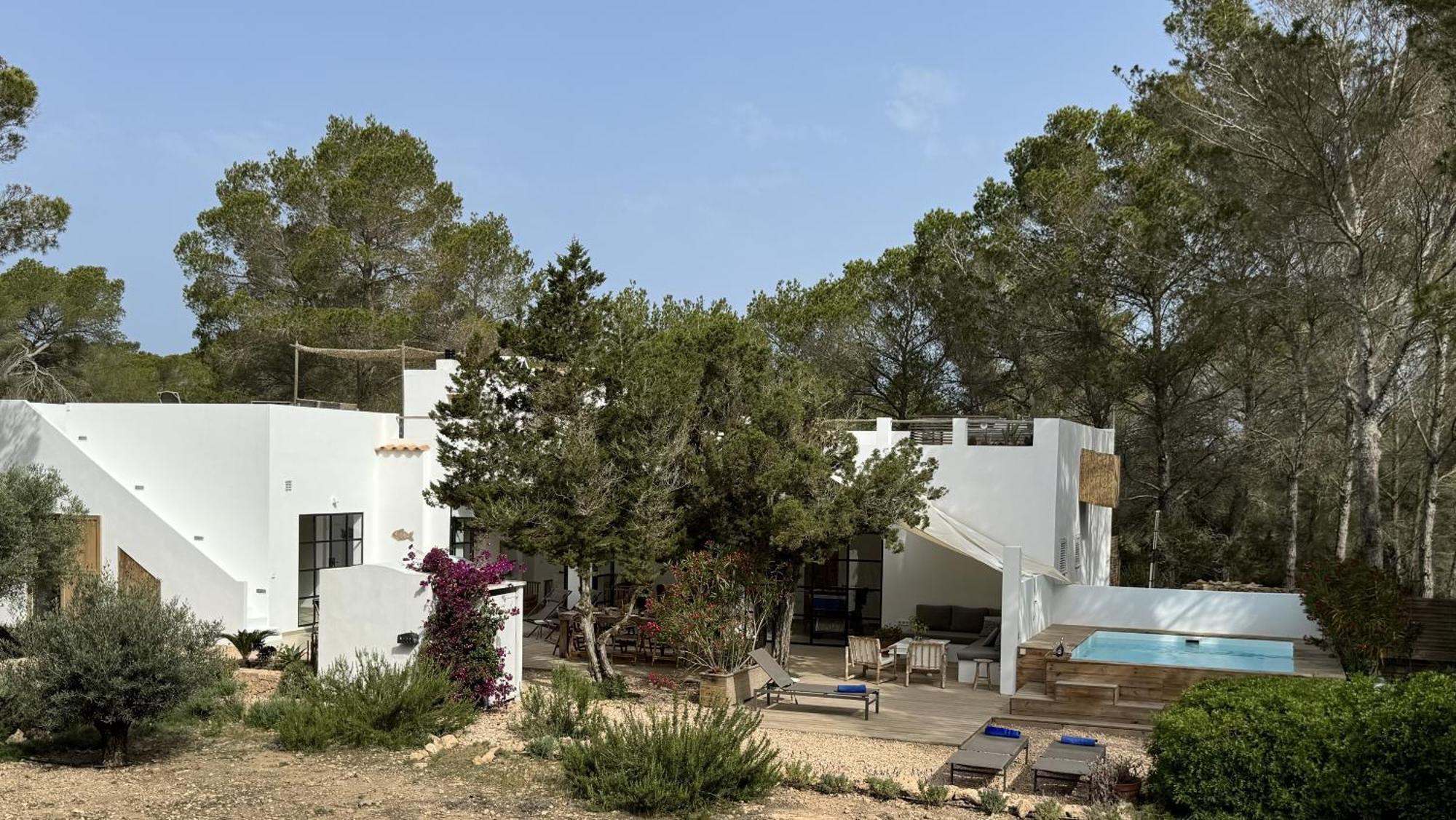 Feliz Lagartija Cala Saona Exterior foto