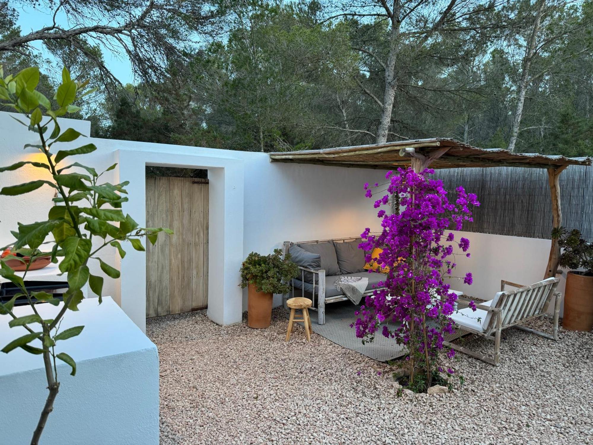 Feliz Lagartija Cala Saona Exterior foto